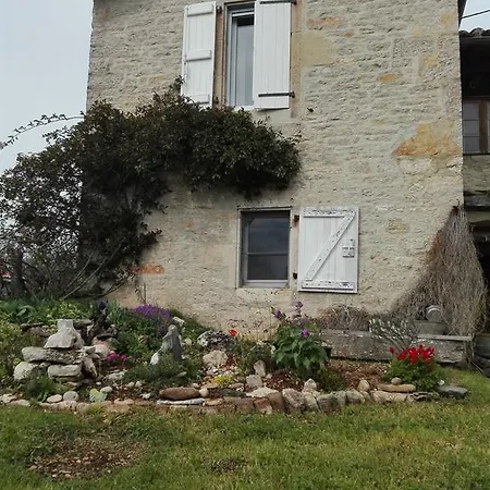 Les Orchidees * Mouillac
