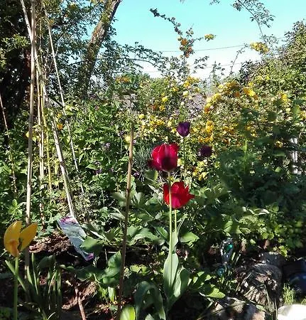 Les Orchidees Landhuis