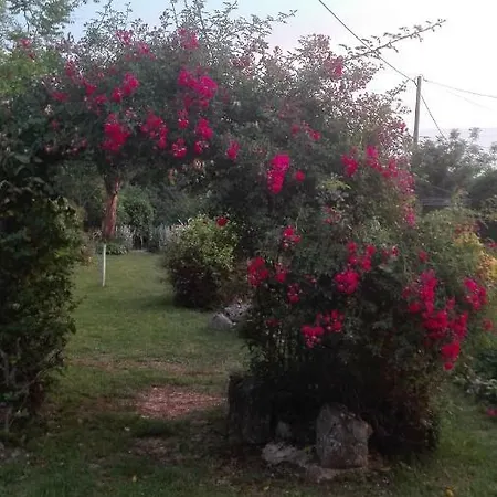 Les Orchidees Mouillac